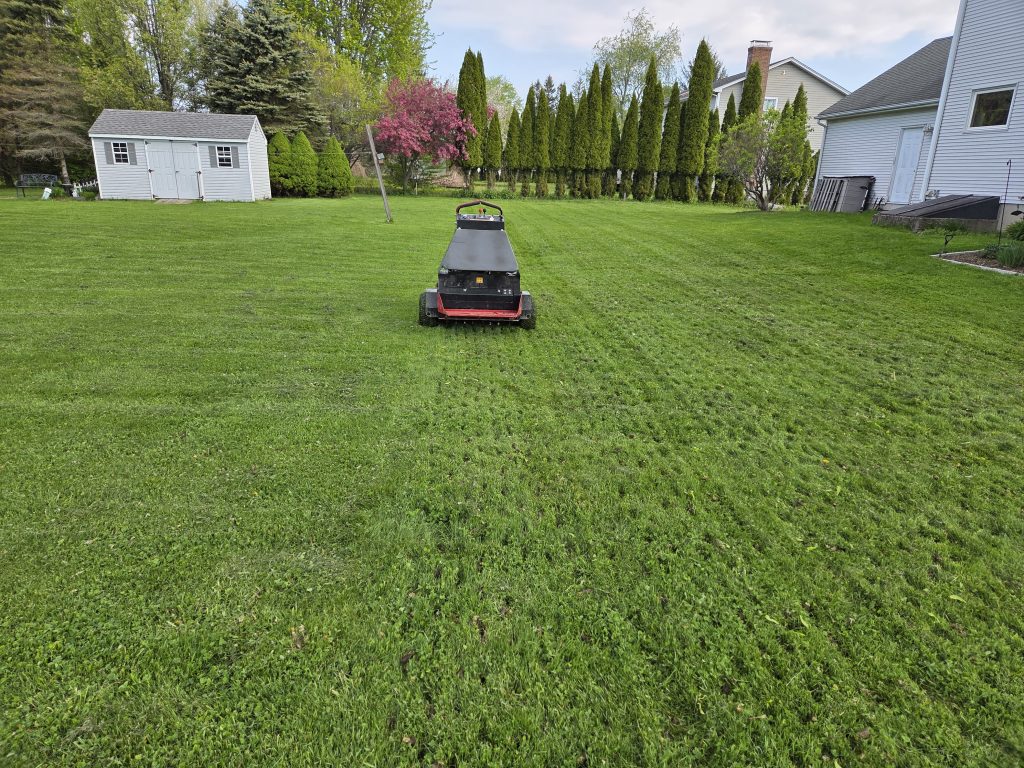 Lawn care services focused on improving grass growth and density