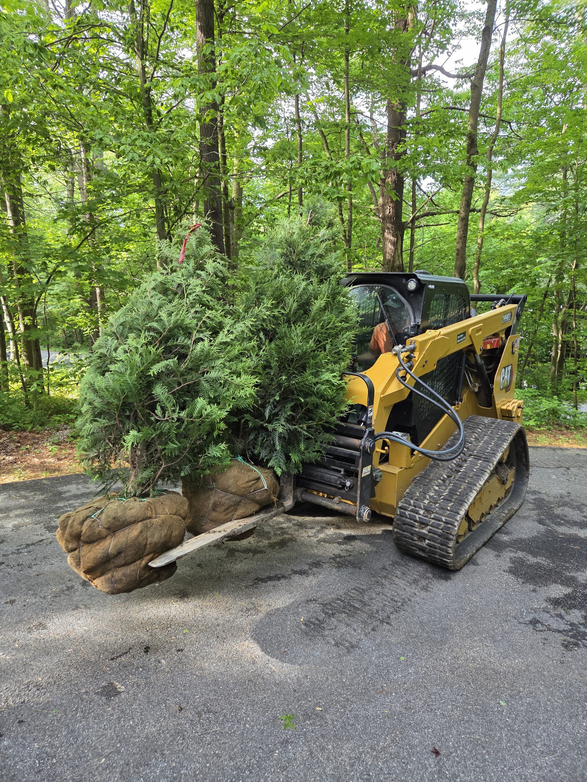 Professional groundskeeping equipment for residential landscaping