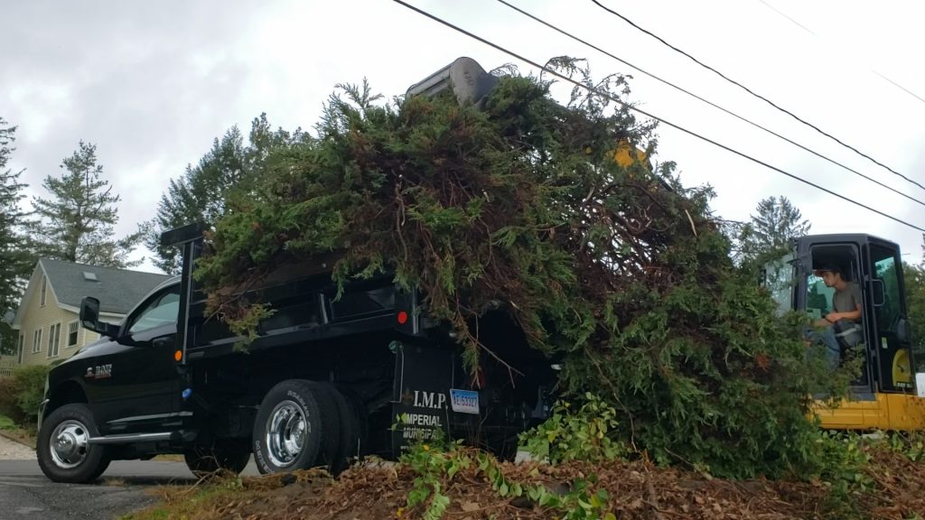 Storm cleanup services for residential and commercial properties