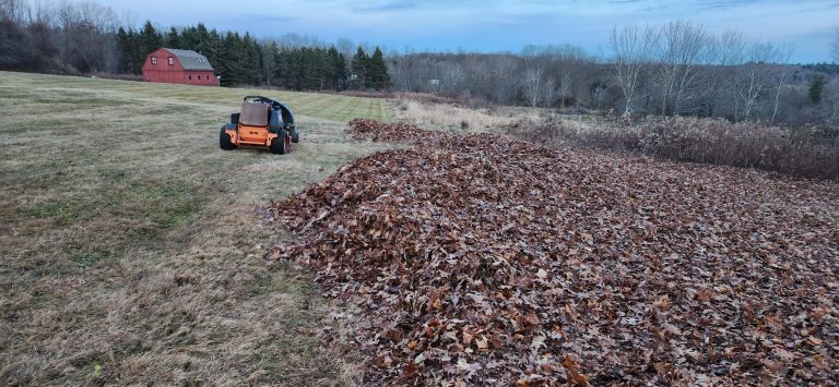 Landscape maintenance for residential and commercial properties