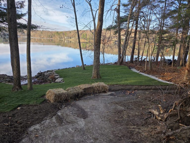 Residential property with professionally maintained landscaping
