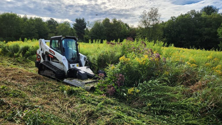 Landscaping crew working on an outdoor property